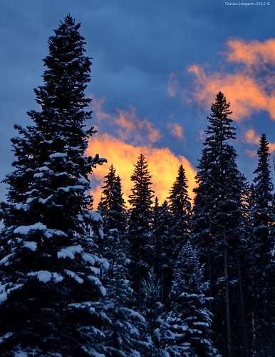 winter sunset sunlight white snow canada tree clouds photography photo nikon photographer bc wintersunset image britishcolumbia okanagan pines photograph winfield okanaganvalley copyrightimage beaverlakemountainresort nikond7000 taniasimpson