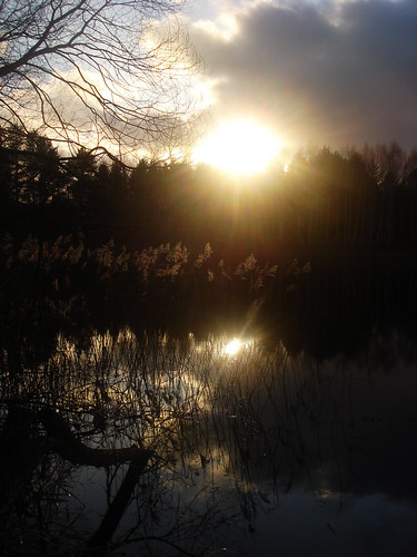autumn sky sun lake reed water reflections