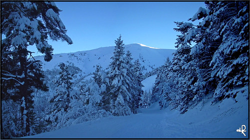 winter white mountain snow ski france station montagne landscape europe skiresort neige snowylandscape snowytree alpesdehauteprovence chabanon stationdeski