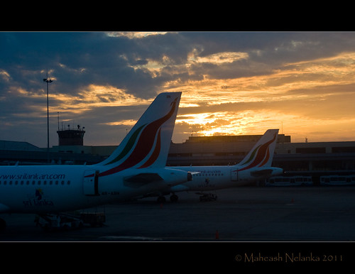 morning sunrise canon 50mm airport aircraft sri lanka international planes ceylon f28 katunayake srilankanairlines srilanla 400d maheash nelanka