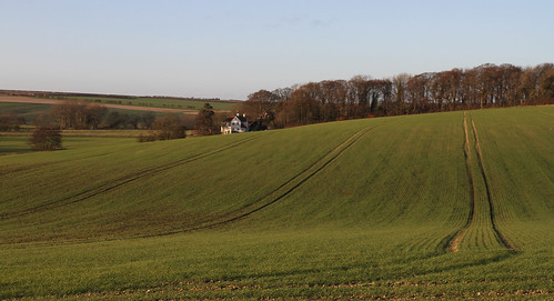 uk winter england sunshine landscape lincolnshire crops agriculture wolds