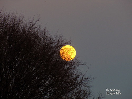 sunset moon tree love beautiful photography rising flickr awakening cage full mehta kedar