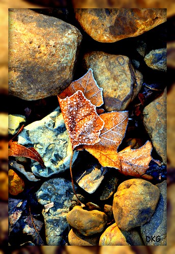 color colors leaves bronze landscape leaf nikon rocks frost magic arkansas magical 2012 nikon3100 naturaldam moonwolf07 mygearandme