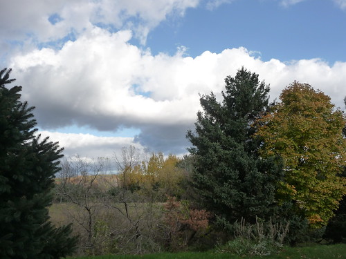 autumn trees sky west fall pine clouds october belmont michigan