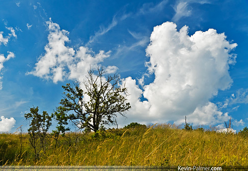 blue summer sky grass clouds cumulus puffy antioch gandermountain lakecountyforestpreserve tamron1750mmf28