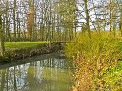 Lacs de la Folie - Photo of Longchamp-sous-Châtenois