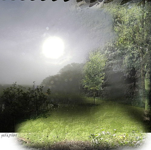 light shadow sky sun tree digital landscape illusion flickraward awardtree “nikonflickraward” gailpiland greenbeautyforlife