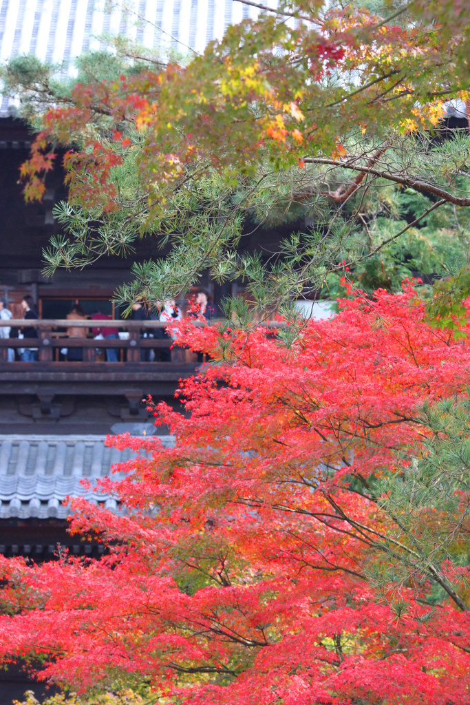 Kyoto Nanzen TempleEikando Guide (1)