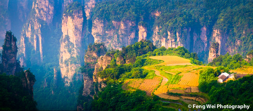 china travel summer wallpaper vacation sunlight mountain color green tourism nature beautiful beauty forest wonder relax landscape nationalpark amazing scenery colorful asia peace natural farm avatar farming relaxing scenic peaceful peak farmland shangrila stunning remote 中国 lush agriculture 旅游 majestic attraction hunan 张家界 secluded zhangjiajie 地理 亚洲 xiangxi 世外桃源 zhangjiajienationalforestpark planetpandora 老屋场 空中田园