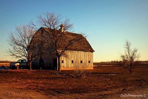 old trees usa nature barn rural landscape midwest decay farm country farmland mo dirt missouri craig fields floods holtcounty