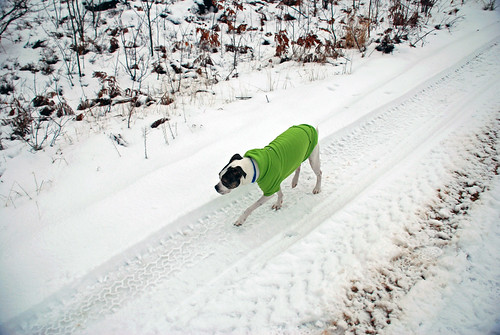 snow offroad michigan trail dexter duramax tonyfaiola sthelenmi