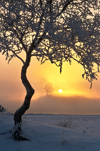 winter sun sunrise finland landscape flickrsfinestimages1 flickrsfinestimages2 flickrsfinestimages3