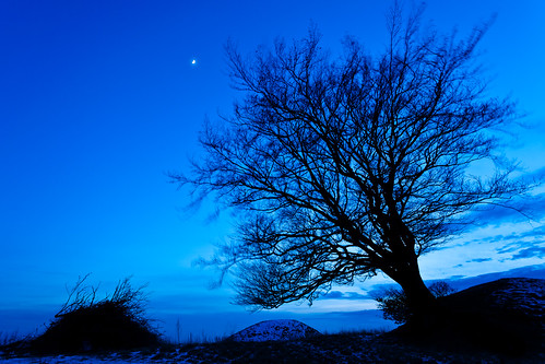 blue winter sunset sky moon tree night skåne sweden dusk fav20 clear cropped f56 skåne 2012 backe fav10 ef1740mmf4lusm rönneberga canoneos5dmarkii asmundtorp 13sek 229012012170052