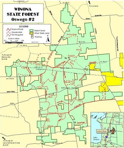 forest state maps hill tug winona andyarthur mapstughill