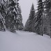 spojnice Javor – Zahrádky s dostatkem sněhu