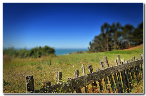 california wood travel blue trees sky usa green northerncalifornia fence catchycolors photography nikon handheld sonomacounty nikkor imperialism vignette jenner latespring tiltshift ca1 fortross 2011 nationalhistoriclandmark shorelinehighway d700 leaningfence russiansettlement afs2470mm nxtrfoto nextierphotography