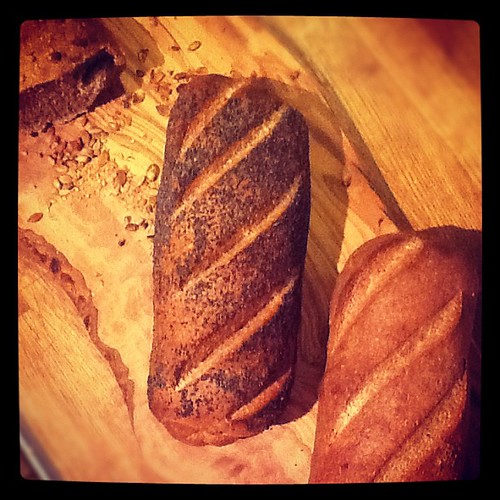 Getting a little bit obsessed with this bread making malarkey