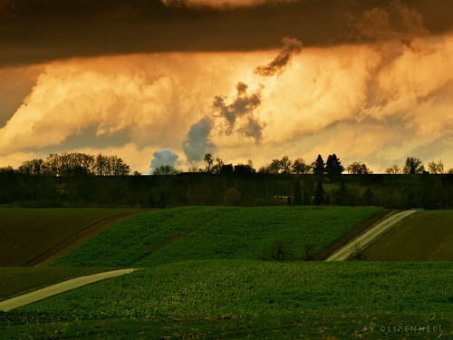 cloud tree field rural germany path walk wolke olympus baum weg acker spaziergang 105mm neckarsulm badenwürttemberg obereisesheim