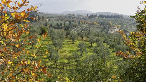 leica color nature landscape outdoor tuscany toscana 1001nights autunno paesaggio collina 1001nightsmagiccity