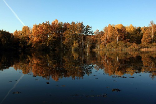 autumn oktober lake see laub herbst reflexions wald höst herbstwald herbstlaub magstadt hölzersee