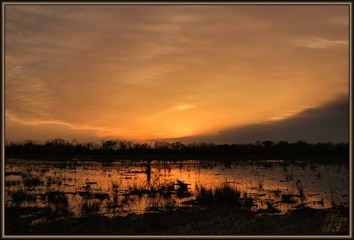 park sunset sun reflection nature water clouds golden pond texas houston swamp wildife wanam3 elfrancoleepark