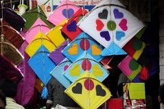 Kites of all shapes and sizes