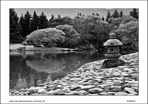 summer bw white black garden japanese pond rocks alberta lethbridge nikkayuko harmoniousbalance