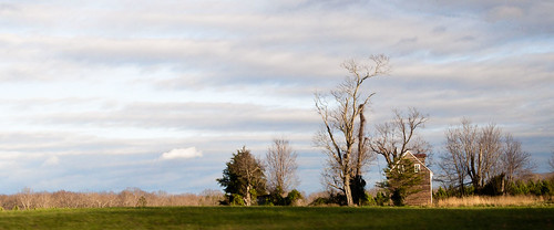 panorama tree landscape virginia