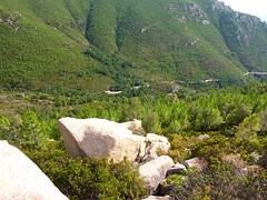 Canyon du Niffru : dans la montée au-dessus de la piste de Radichella