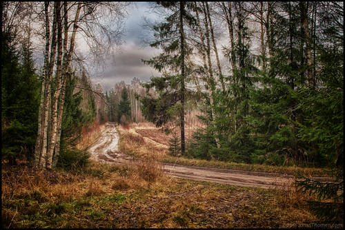 road autumn trees sky tree fall grass clouds bend tracks himmel hdr höst träd väg moln gräs spår krök 9ex1ev