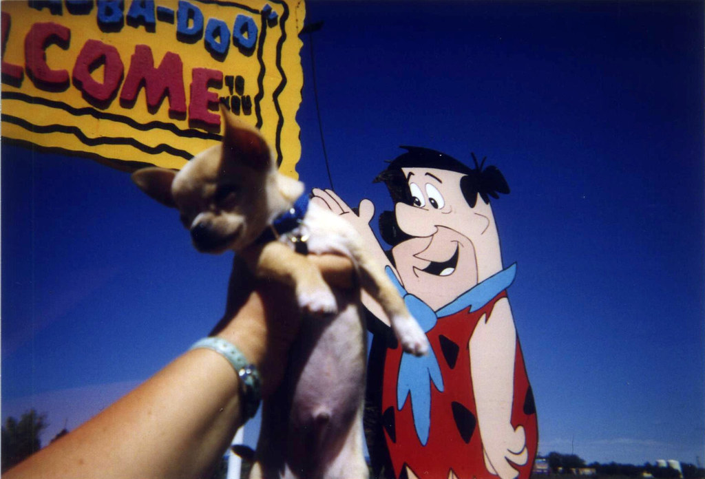 Puppy Floyd and Fred Flintstone- 2003