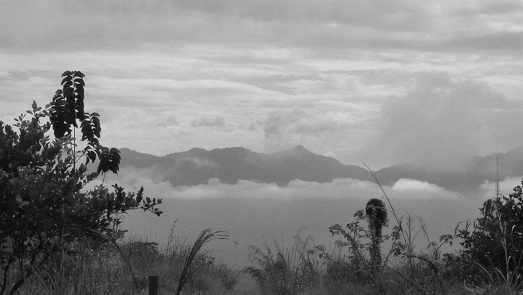 Mist settling in Lenggong valley