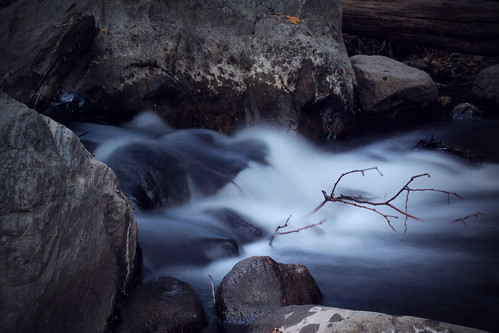 water rock stone forest stream branch flowing