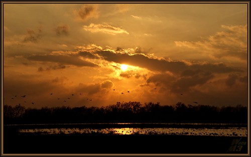 sunset sky sun water clouds pond texas houston ducks flickrdiamond wanam3 elfrancoleepark