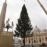 Vaticano se prepara para Navidad