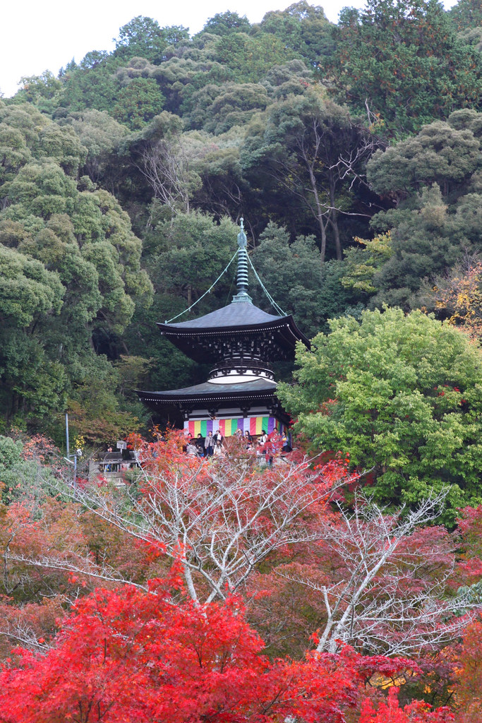 Kyoto Nanzen TempleEikando Guide (29)