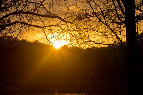 trees sky sun lake nature water silhouette sunrise georgia lagrange troupcounty westpointlake thesussman sonyalphadslra550 sonyalphadslra500