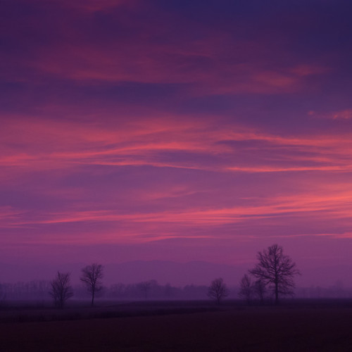 trees sunset sky italy mountains purple dusk pinky emiliaromagna casenuove carpaneto