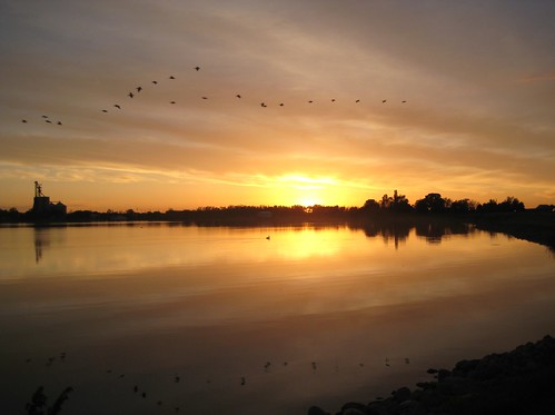 desktop sunset sky lake reflection bird nature water glass beautiful minnesota night clouds evening midwest dusk flock flight scenic chandler mn smalltown slayton walpaper highway30 lakewilson buffaloridge murraycounty