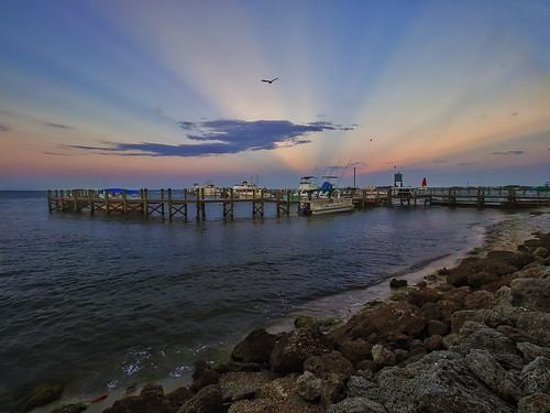 pink blue sunset sky orange seagulls clouds river boats pier dock rocks florida outdoor seagull sebastianriver
