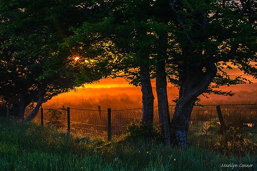 sunrise landscape scotland paisley renfrewshire gleniferbraes nikond3300 marilynconnor