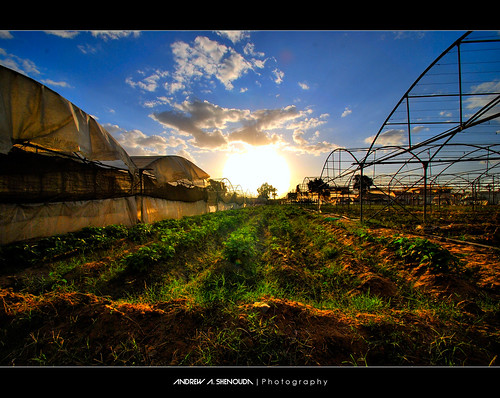 city sunset sun landscape photography flickr egypt cairo greenhouse hdr gezeireteldahab andrewashenouda eldahabisland