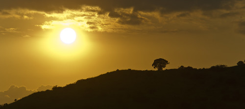 sunset sun tree silhouette mexico hill jalisco northamerica geotag egne 2011 bo47 bonielsen nikond3s ahuacapán