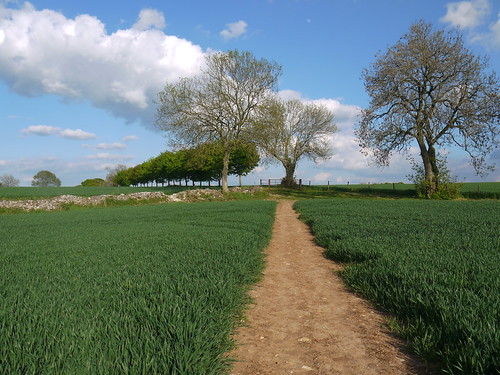Paths out of Bisley