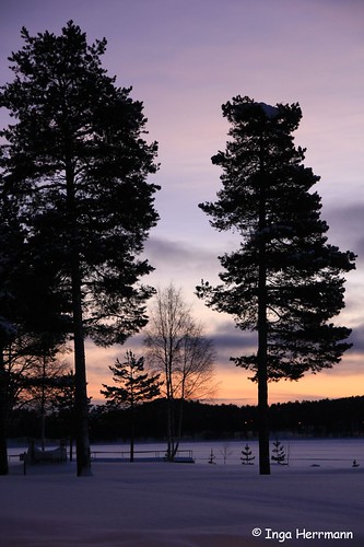 winter sun sunrise canon sweden schweden lappland sigma lapland jokkmokk sigma1750mm canoneos60d
