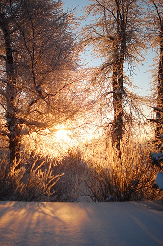 park sunset snow ice alaska frost ak anchorage icy kincaid