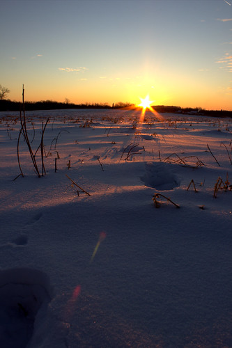 winter sunset snow field closeup landscape t2i