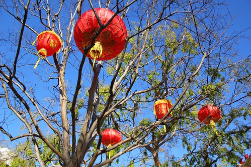 Paper Lanterns - Lunar New Year Celebration