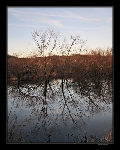 winter reflection lowlands westvirginia theswampswamp cfleesphotography