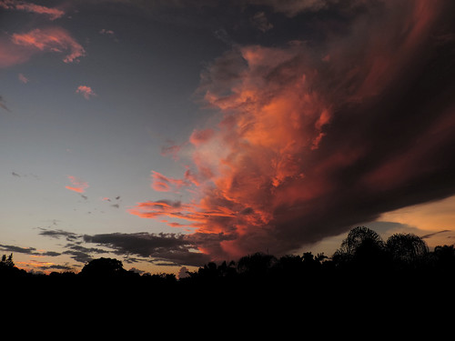 sunset sky storm clouds nikon bluesky palmtrees pinksunset bundaberg redsunset orangesunset p520